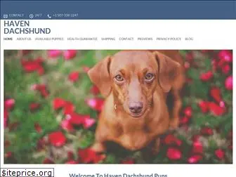 havendachshunds.com