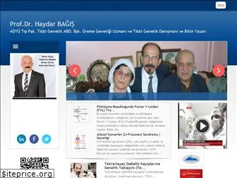 haydarbagis.com