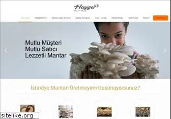 hayger.com