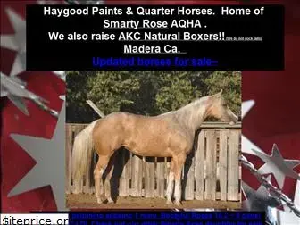 haygoodpaints.com