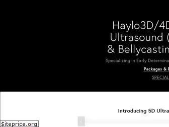 haylo3dimaging.com