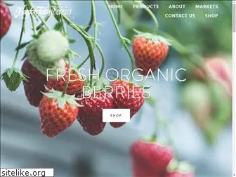 haytonfarmsberries.com