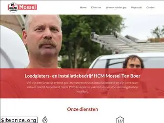 hcmtenboer.nl