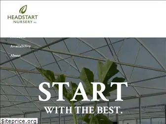 headstartnursery.com