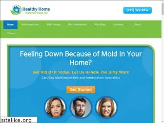 healthyhomemoldservices.com