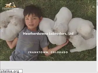 heatherdownslabradors.com