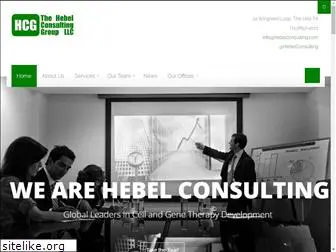 hebelconsulting.com