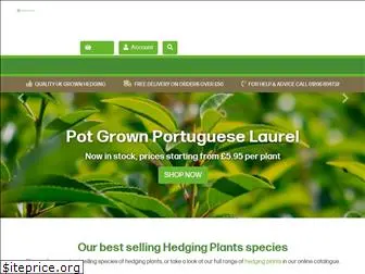 hedgingplantsdirect.co.uk