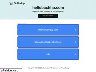 hellobachho.com
