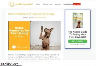 hellocavoodle.com.au