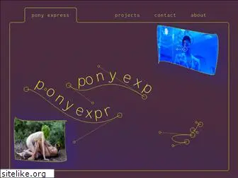 helloponyexpress.com