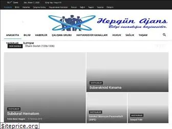 hepgun.com