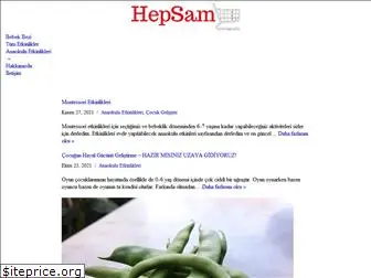 hepsam.com