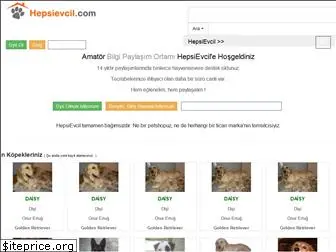 hepsievcil.com