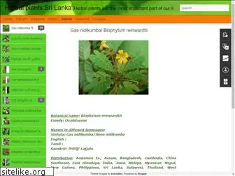 herbalplantslanka.blogspot.com