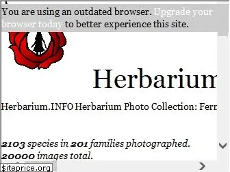 herbarium.info