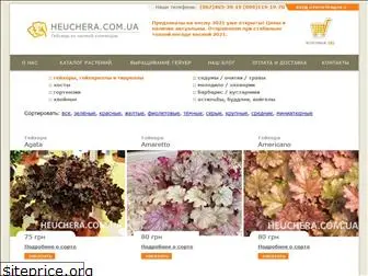 heuchera.com.ua