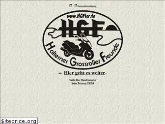 hgfler.info