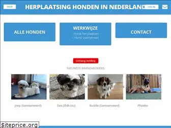 hhin.nl