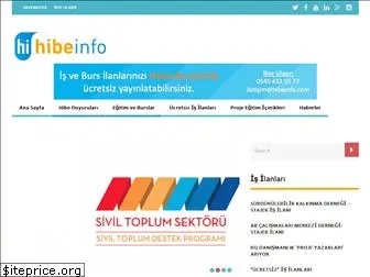 hibeinfo.com