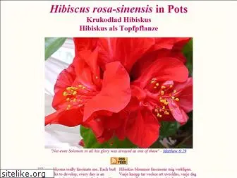 hibiscus-sinensis.com