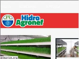 hidroagronef.com