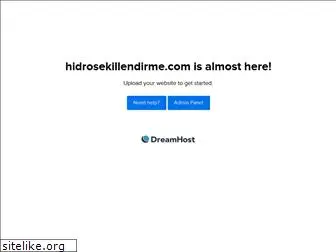 hidrosekillendirme.com