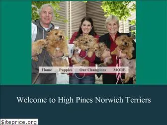 highpinesnorwich.com