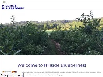 hillsideblueberries.com