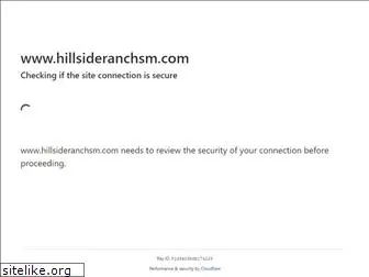 hillsideranchsm.com