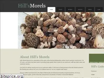 hillsmorels.com