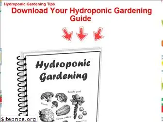 hoagtechhydroponics.com