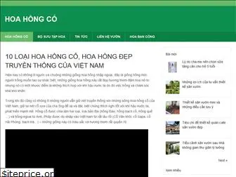 hoahongco.net