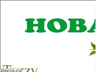 hobartcity.com