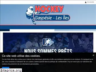 hockeygaspesielesiles.ca