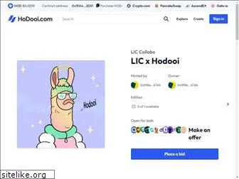 hodooi.com