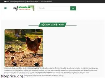 hoinuoiga.vn thumbnail