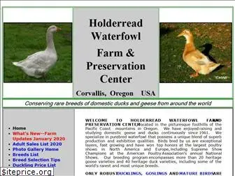 holderreadfarm.com