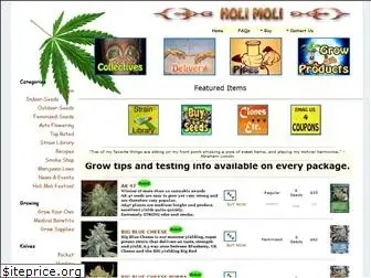 holi-moli.com