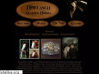 hollaschquarterhorses.com