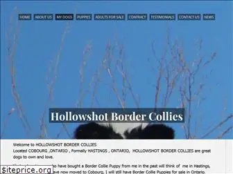 hollowshotbordercollies.com