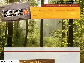 hollylakecampsites.com