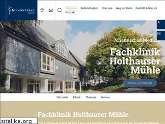 holthauser-muehle.de