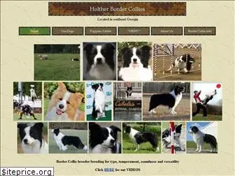 holtherborders.com