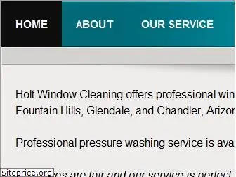 holtwindowcleaning.com