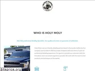 holymolythatsshiny.com