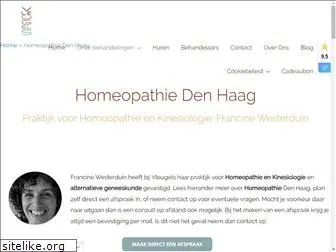 homeopathiedenhaag.nl