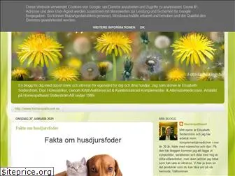 homeopathuset.blogspot.com