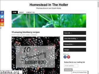 homesteadintheholler.com