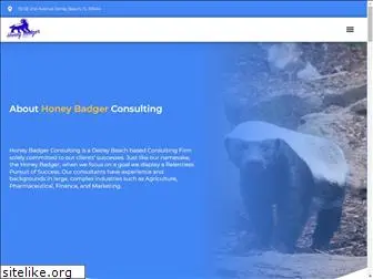 honeybadger.consulting